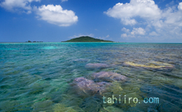 2006,06,26珊瑚礁と大神島横01.jpg