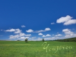 2008,07,26牧草地と二本の木b.jpg