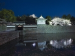 2009,04,05丸亀城夜桜34.jpg