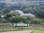 2009,04,08JR徳島線19.jpg