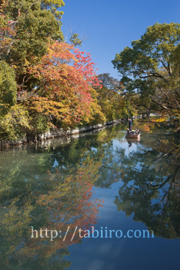 2008,11,13柳川川下l.jpg
