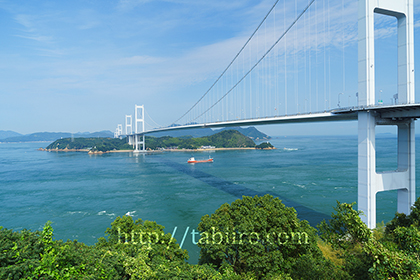 2014,08,12糸山公園より来島海峡大橋a.jpg