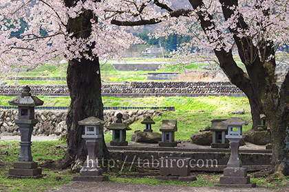 2016,04,06武田諏訪神社007a.jpg