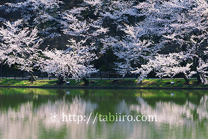 2016,04,12臥竜公園016a.jpg