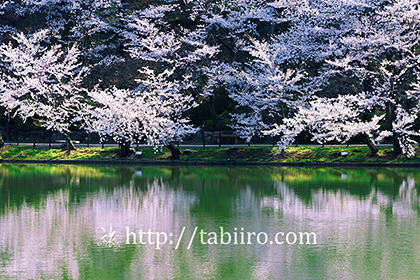 2016,04,12臥竜公園022b.jpg