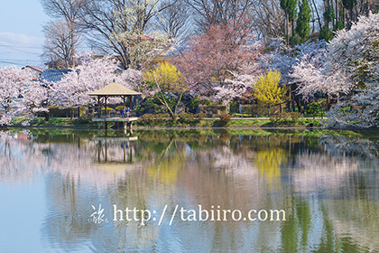 2016,04,12臥竜公園067a.jpg