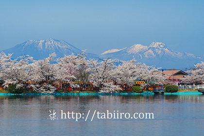 2016,04,12臥竜公園198b.jpg
