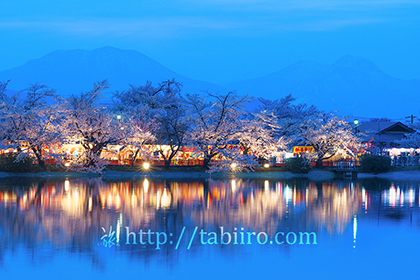 2016,04,12臥竜公園の夜桜012a.jpg