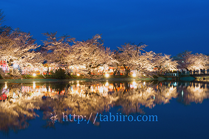 2016,04,12臥竜公園の夜桜042a.jpg