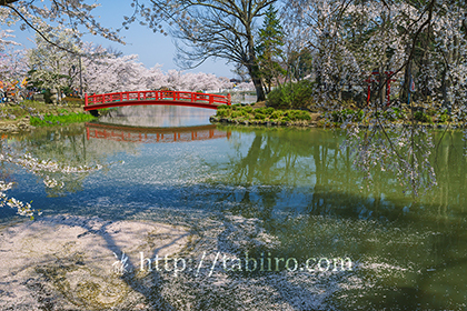 2016,04,12臥竜公園弁天橋107a.jpg