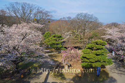 2016,04,13懐古園049a.jpg