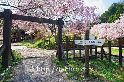 2016,04,19一石栃の白木改番所跡028a.jpg
