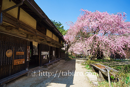 2016,04,19一石栃の立場茶屋007a.jpg