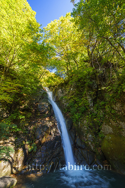 2016,10,16秋山郷大瀬の滝058a.jpg