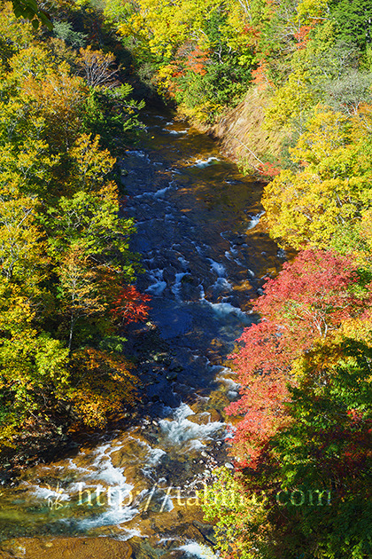 2016,10,16秋山郷紅葉の雑魚川049a.jpg