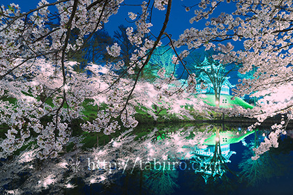 2017,04,13高田城の夜桜026a.jpg