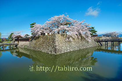2017,04,18桜咲く松代城跡076a.jpg