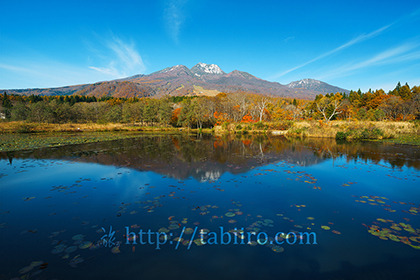 2017,11,01いもり池より妙高山を望む199a.jpg