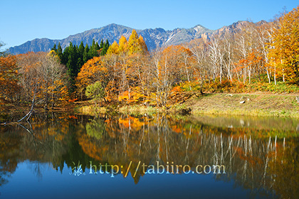 2017,11,03秋山郷天池034a.jpg
