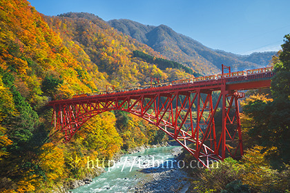 2017,11,13黒部峡谷トロッコ電車181a.jpg