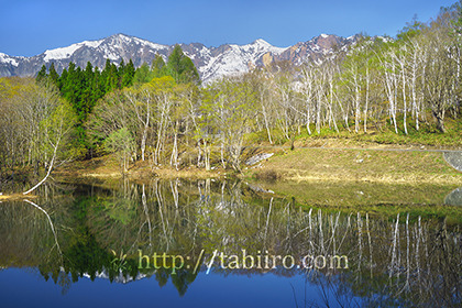 2019,05,10雨池越しに鳥甲山を望む034B.jpg