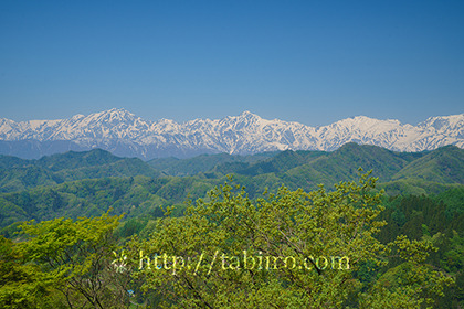 2019,05,13小川村より北アルプス後立山連峰を望む082B.jpg