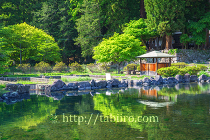 2019,05,17大滝湧水054B.jpg