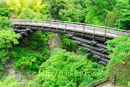 2019,05,20新緑の猿橋021b.jpg