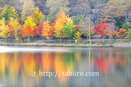 2020,10,16紅葉の女神湖080b.jpg