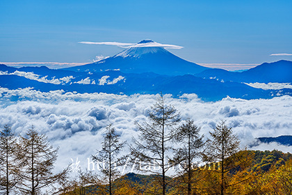 2021,10,26甘利山より雲海越しに富士山を望む136b.jpg