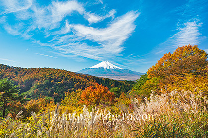 2021,10,30二十曲峠より富士山を望む063b.jpg