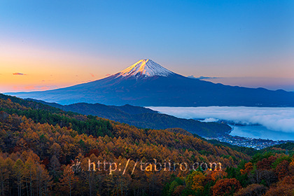 2021,11,05西川林道より朝の富士山を望む075b.jpg