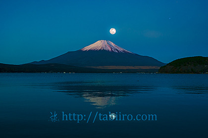 2021,11,11山中湖畔より富士山を望む014b.jpg