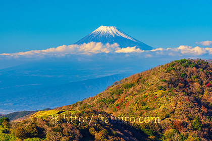 2021,11,15西伊豆スカイラインより富士山を望む031b.jpg