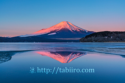 2022,02,07山中湖より望む富士山の夜明け169b.jpg