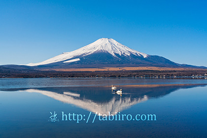 2022,02,09山中湖より富士山を望む137b.jpg