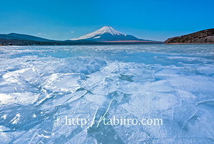 2022,02,09山中湖より富士山を望む652b.jpg