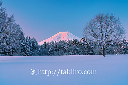 2022,02,11諏訪野も自然公園より富士山を望む014b.jpg