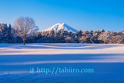 2022,02,11諏訪野も自然公園より富士山を望む261b.jpg