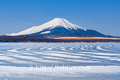 2022,02,12山中湖より富士山を望む387b.jpg