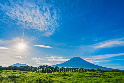 2022,07,25朝霧高原より朝の富士山を望む078b.jpg