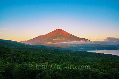 2022,07,29パノラマ台より富士山を望む004b.jpg