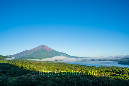 2022,07,29パノラマ台より富士山を望む119b.jpg