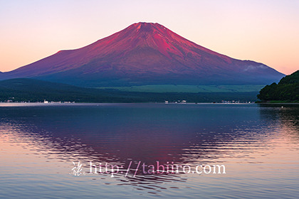 2022,07,30山中湖より早朝の富士山を望む043b.jpg