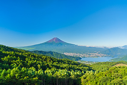 2022,07,31西川林道より富士を望む030b.jpg
