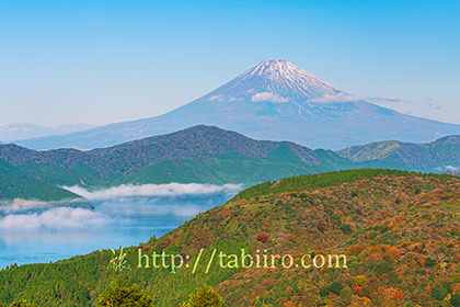 2022,10,29大観山展望台より富士山を望む125b.jpg