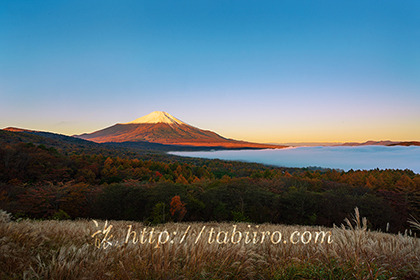 2022,11,02パノラマ台より朝の富士山を望む005b.jpg