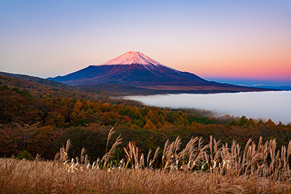 2022,11,02パノラマ台より朝焼けの富士山を望む035b.jpg
