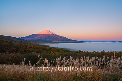 2022,11,02パノラマ台より朝焼けの富士山を望む052b.jpg