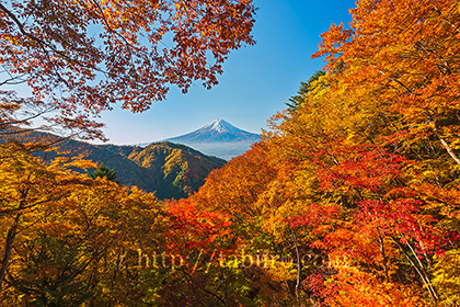 2022,11,03御坂峠より富士山望む003b.jpg